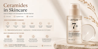 Ceramides in Skincare: How to Repair and Strengthen the Skin Barrier
