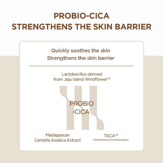 Skin 1004 Madagascar Centella Probio-Cica Intensive Ampoule