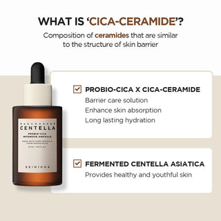 Skin 1004 Madagascar Centella Probio-Cica Intensive Ampoule