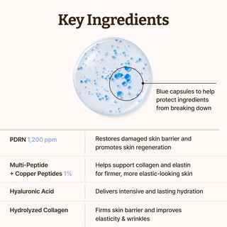Dr. Reju-All Advanced PDRN Copper Peptide Serum 30ml