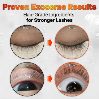 lilyeve Grow Turn Exosome Dual Lash Serum 8ml