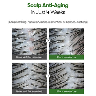 VT - PDRN Reedle Shot Hair Ampoule 100dL 15ml