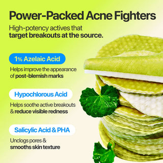 Numbuzin Zero Blemish Azela Cica Balancing Dual Pads, 60 Pads